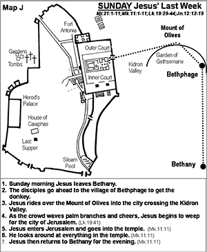 Jesus' Final Week - Sunday